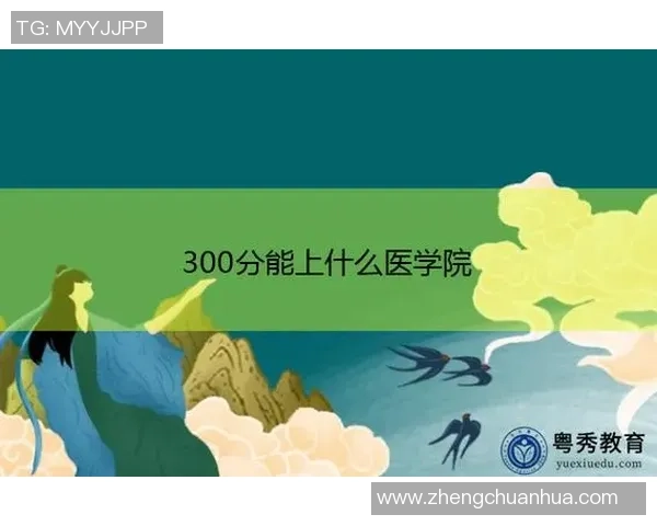 深圳羽毛球队耐力提升之路探讨与热议